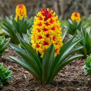 Гиацинт Скай Блюм купить по цене от 2099р. в интернет-магазине «Посадика» с доставкой почтой в в Ярославле и по всей России – [изображение №1].