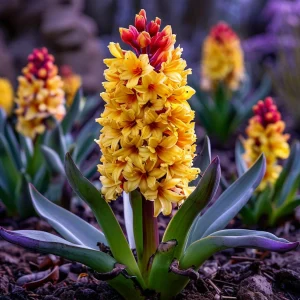 Гиацинт Миднайт Мистери купить по цене от 2099р. в интернет-магазине «Посадика» с доставкой почтой в в Ярославле и по всей России – [изображение №1].